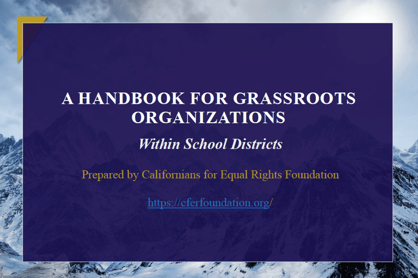 preview-image-policy-Handbook for Grassroots Organizations