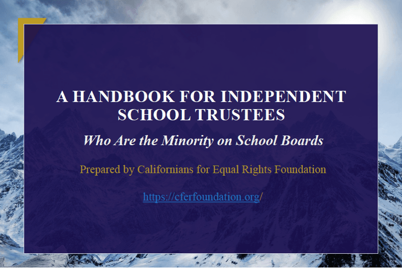 preview-image-policy-Handbook for Independent School Trustees